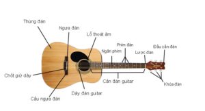 Cách Đánh Đàn Guitar Cho Người Mới Bắt Đầu - V Guitar